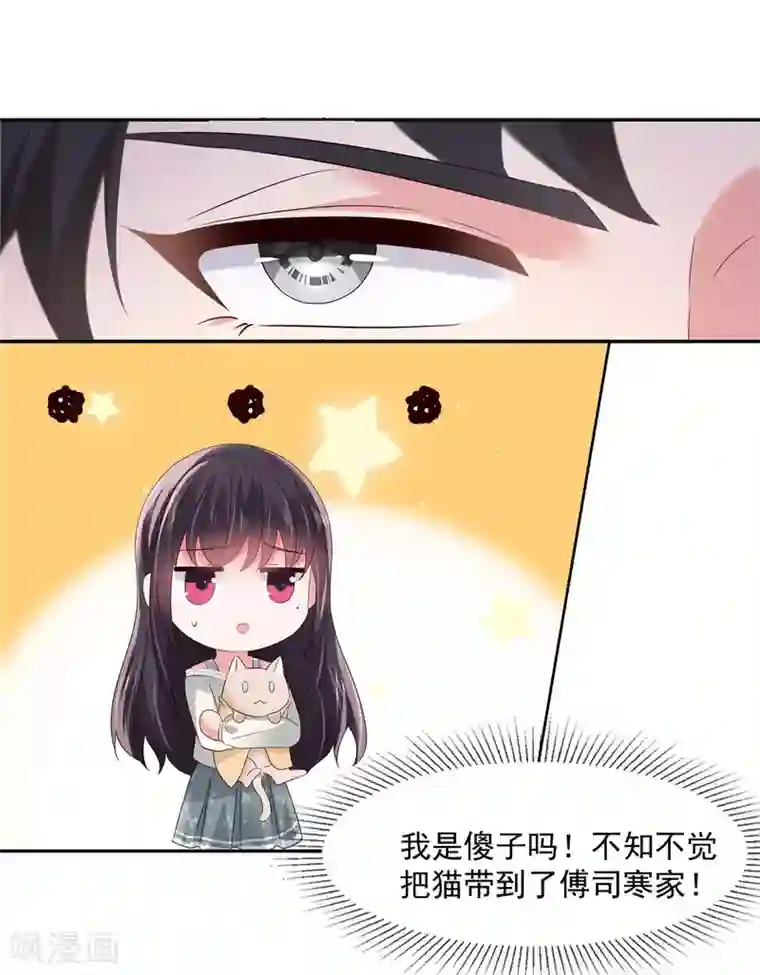 重生相逢：给你我的独家宠溺第58话 捡了只小猫咪