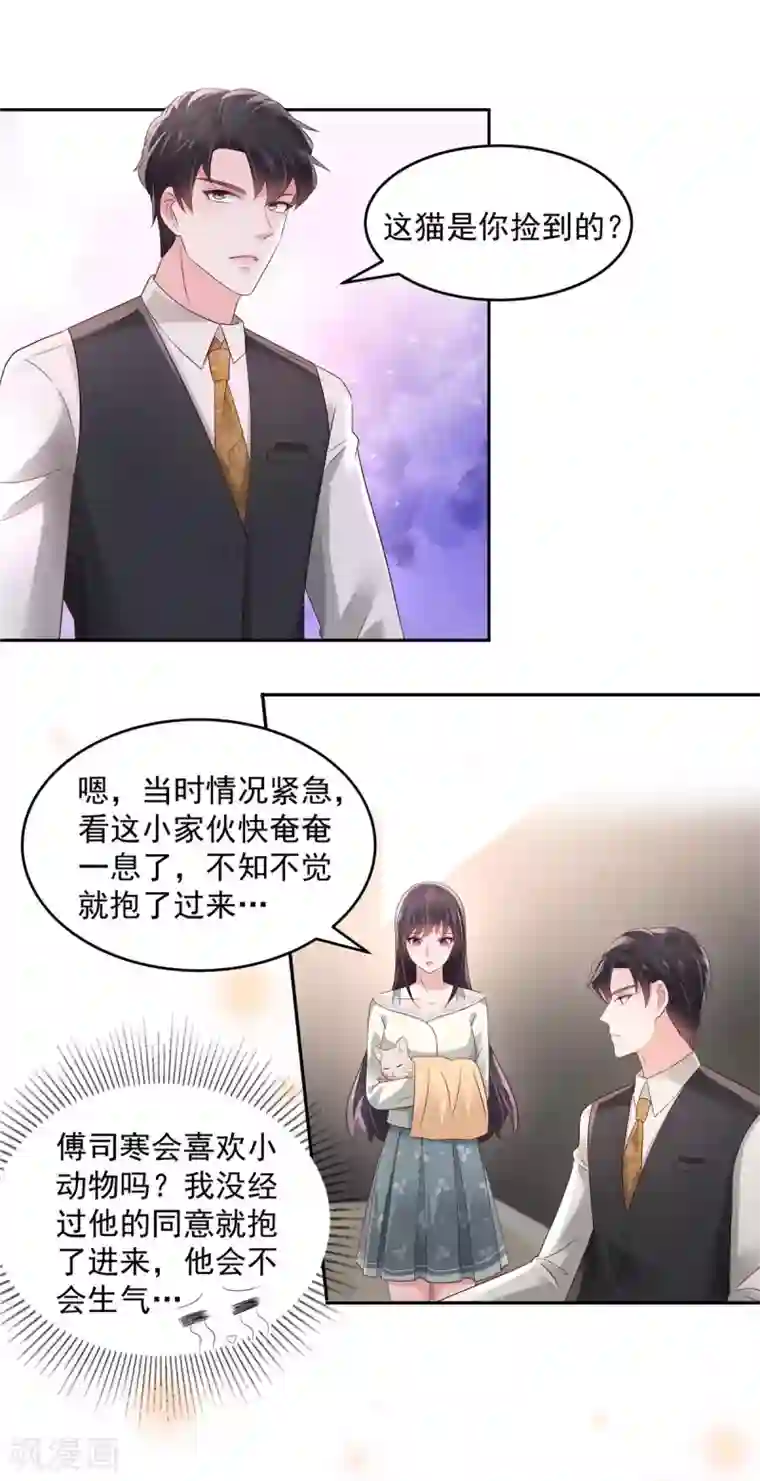 重生相逢：给你我的独家宠溺第58话 捡了只小猫咪