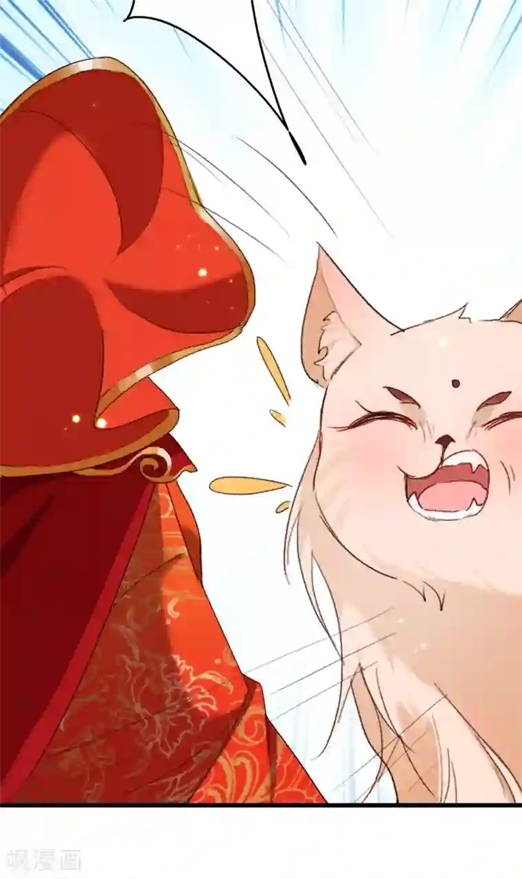 驭兽狂妃第19话 成亲波折