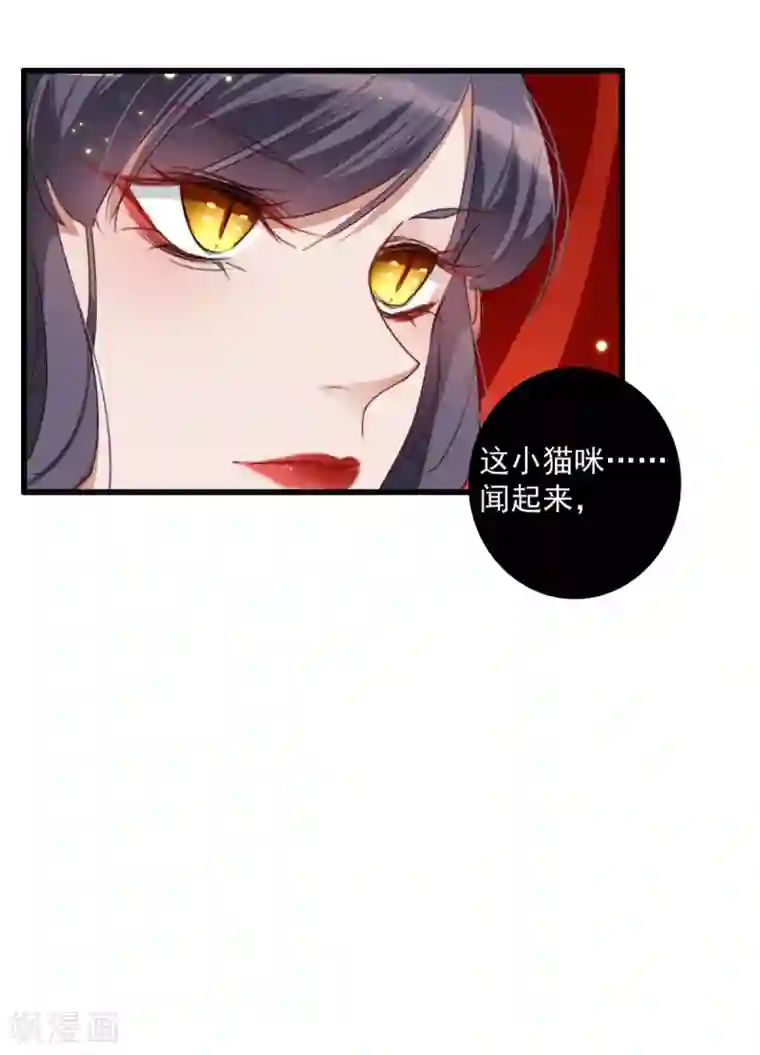 驭兽狂妃第19话 成亲波折