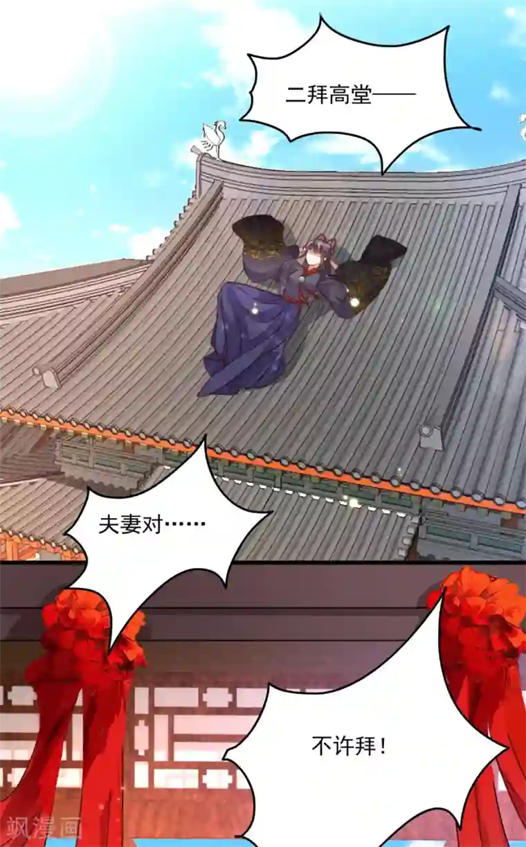 驭兽狂妃第19话 成亲波折