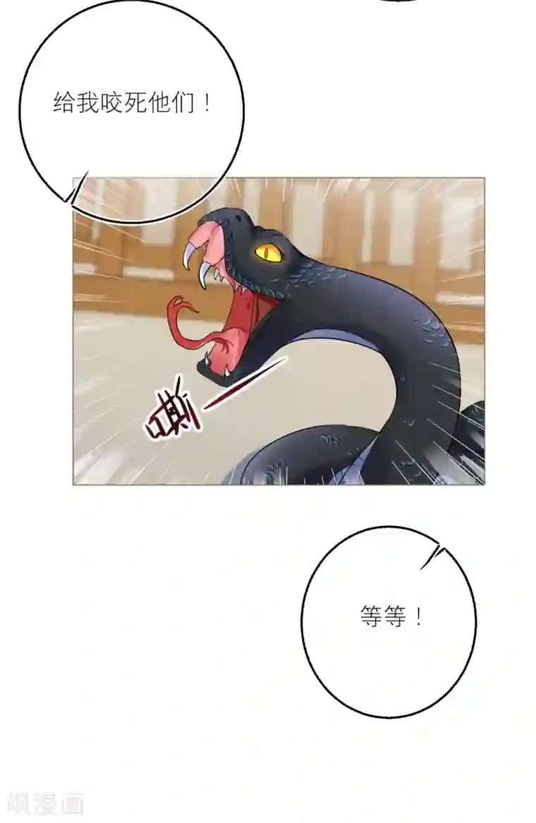 穿越到春秋男校当团宠第71话 最特殊的存在