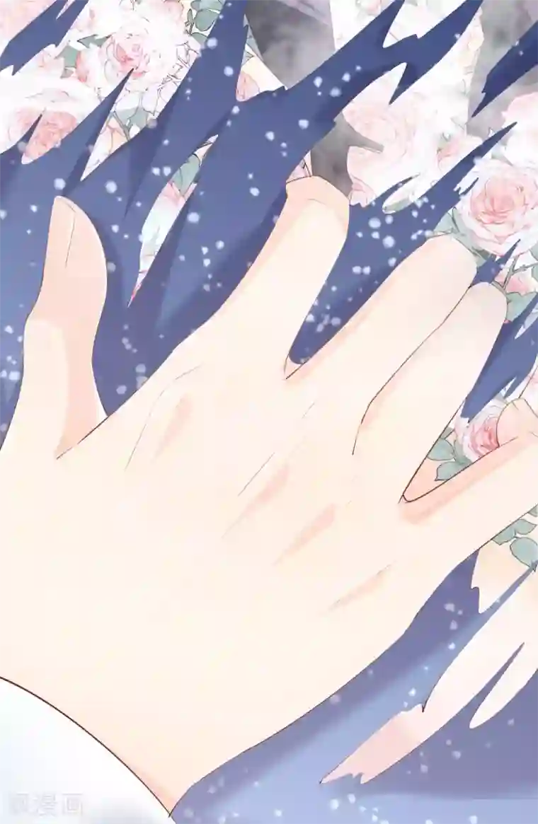 陆总，你老婆又上热搜啦！预告