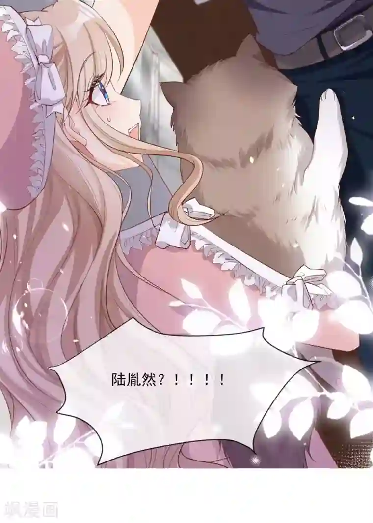 陆总，你老婆又上热搜啦！预告