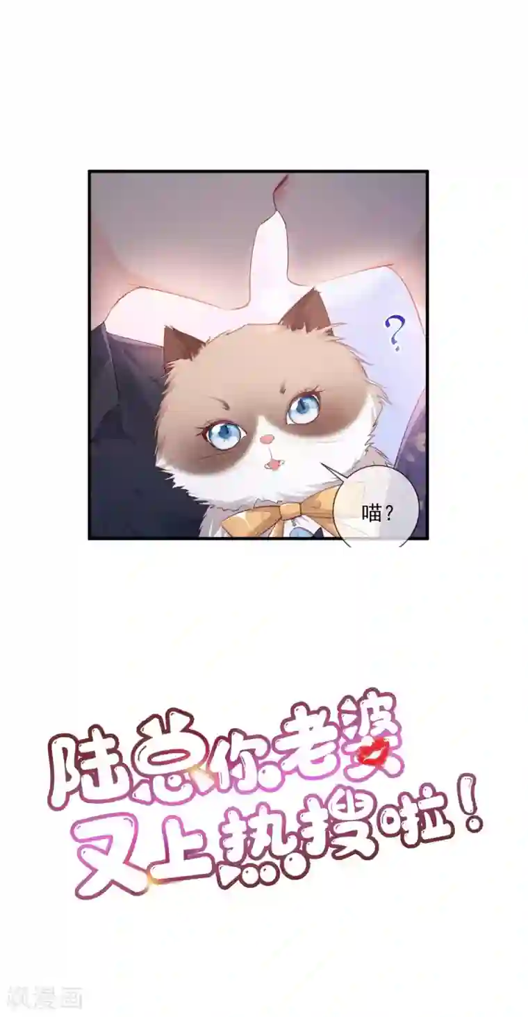 陆总，你老婆又上热搜啦！预告