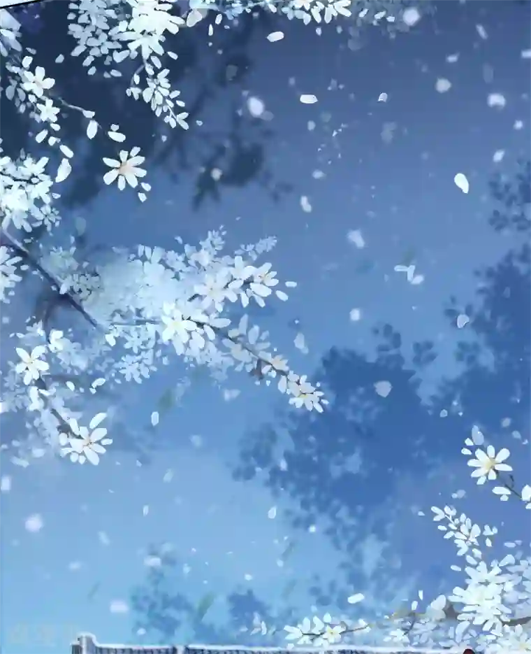 毒医嫡女第188话 互明心意