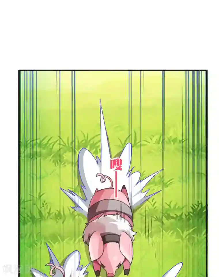 今天开始当首富第203话 秋名山逮猪户！