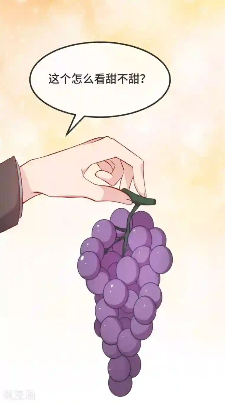 贺少的闪婚暖妻第335话 秦以悦崩溃了