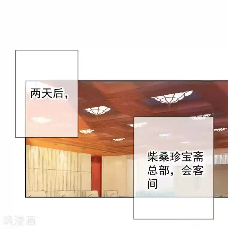 重生地球仙尊第42话 品鉴会