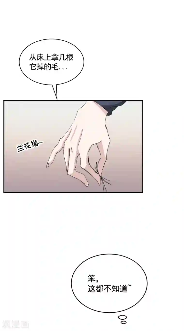 影子侦探第21话 不良少年的根据地失火