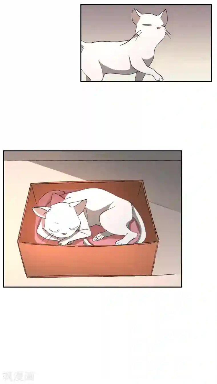 影子侦探第21话 不良少年的根据地失火