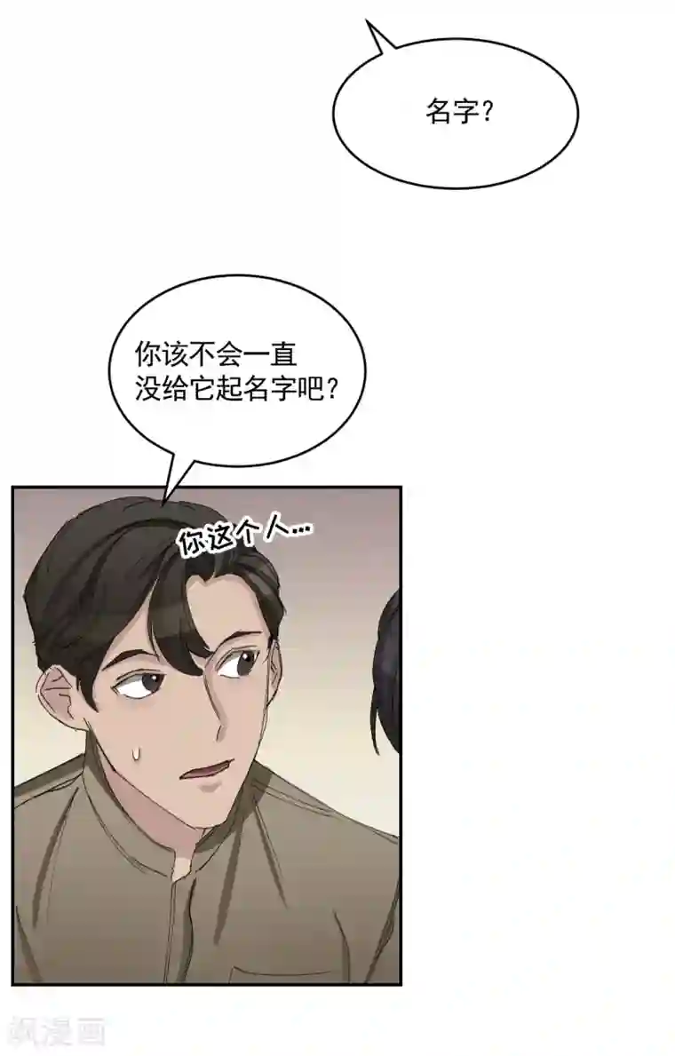 影子侦探第21话 不良少年的根据地失火