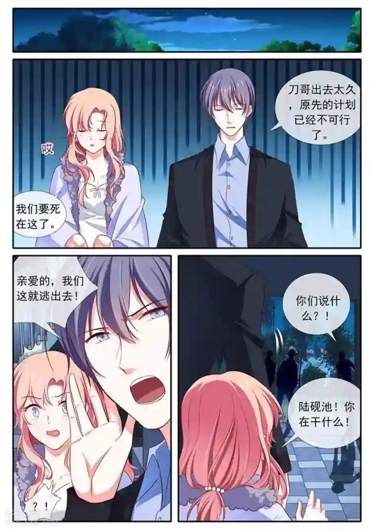 太子妃在现代第38话