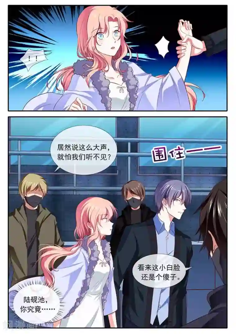 太子妃在现代第38话