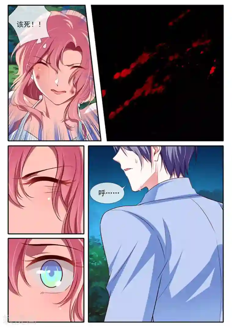 太子妃在现代第41话