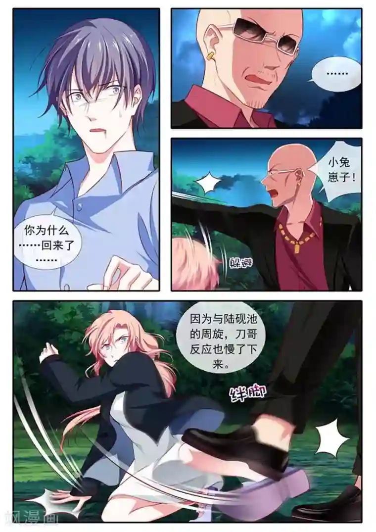 太子妃在现代第42话