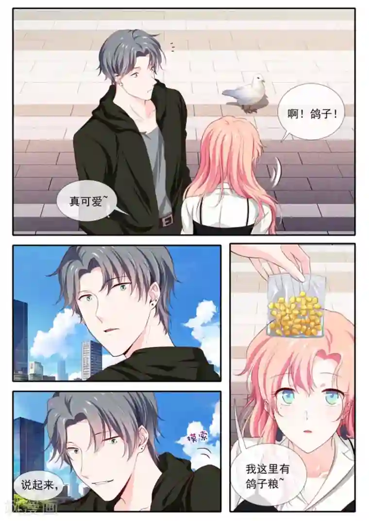 太子妃在现代第一季最终话