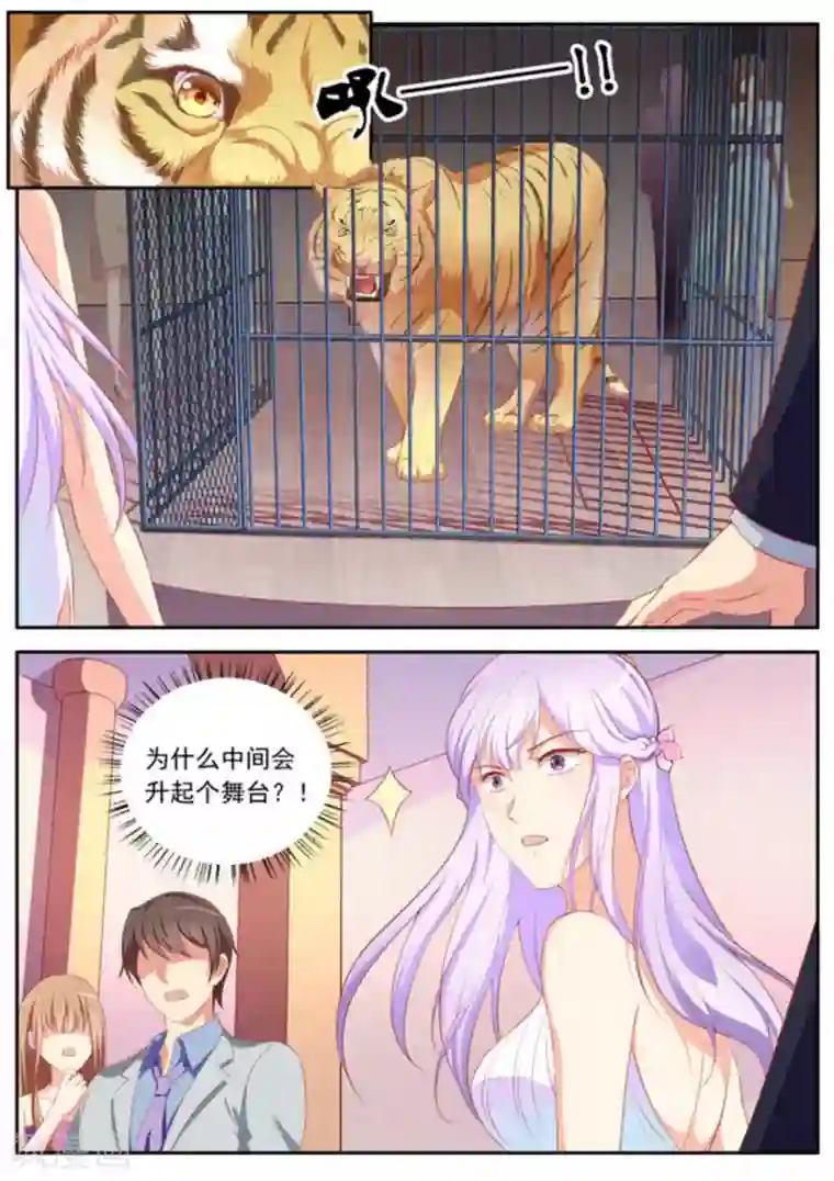 男神，你的翻译已就位第32话