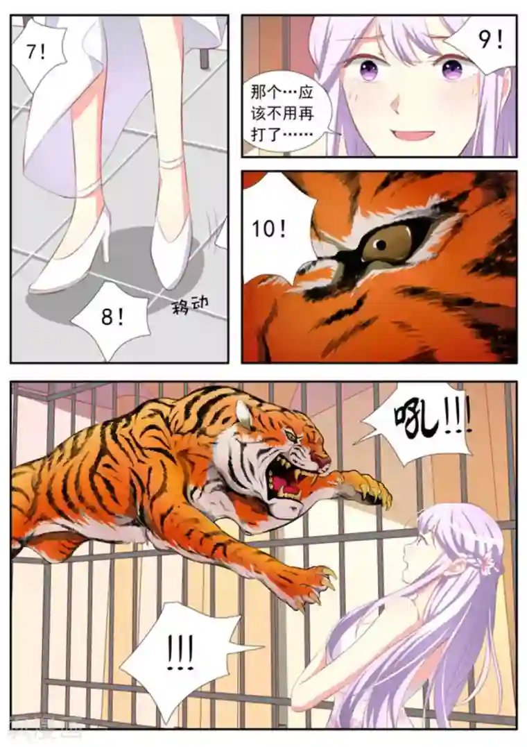 男神，你的翻译已就位第33话