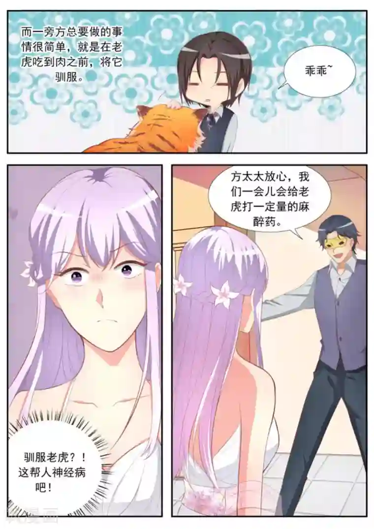 男神，你的翻译已就位第33话