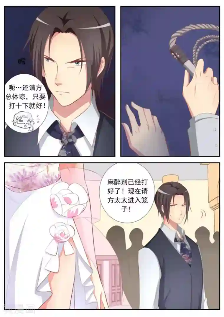 男神，你的翻译已就位第33话