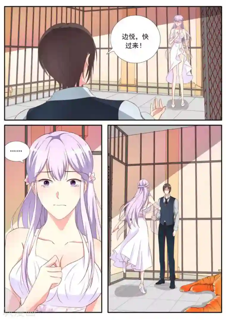 男神，你的翻译已就位第34话