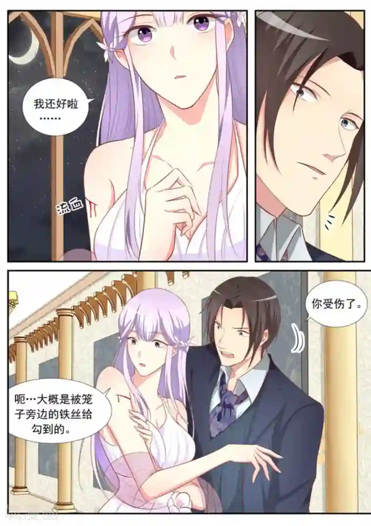 男神，你的翻译已就位第34话