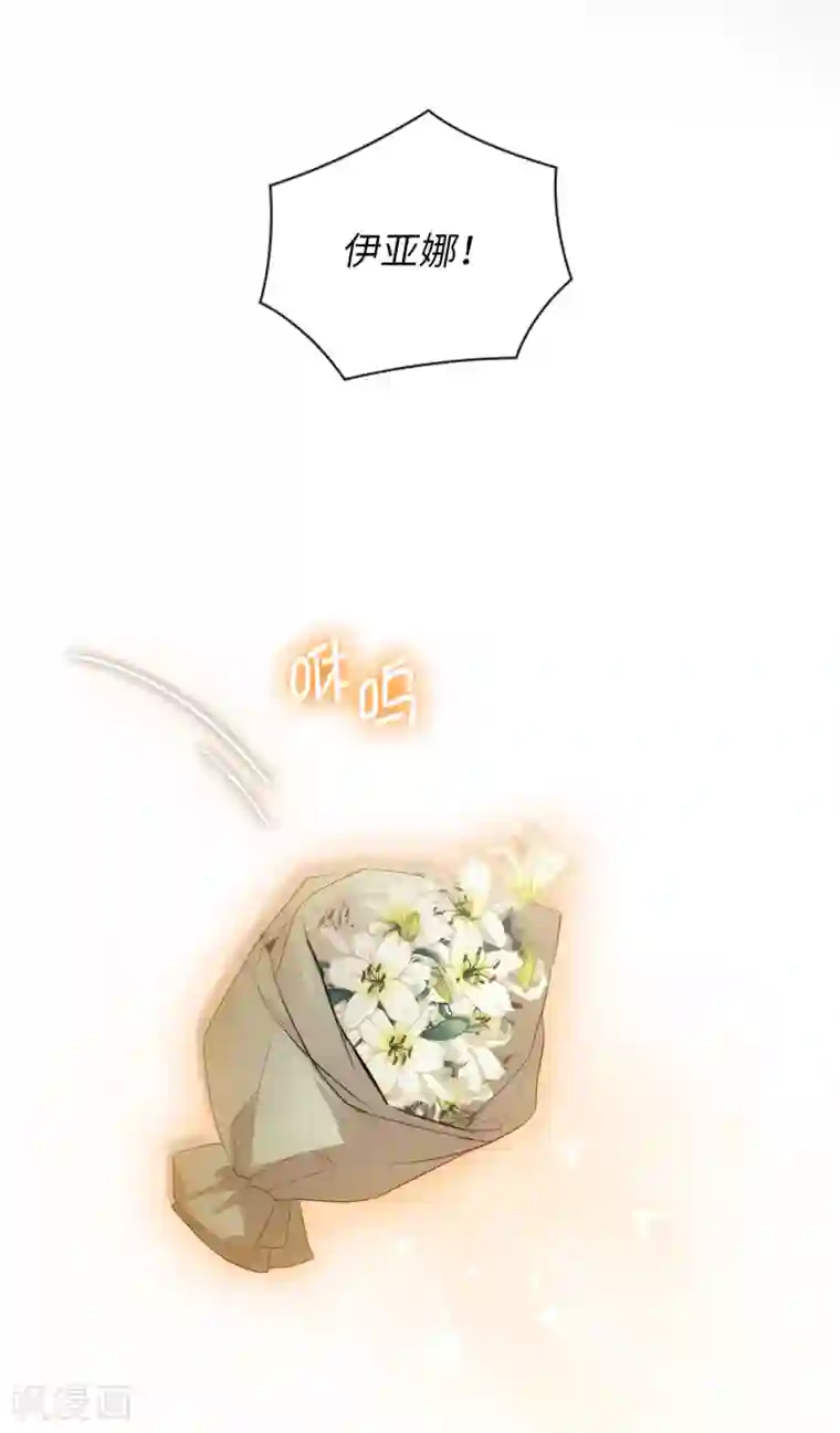 阿多尼斯第311话 你在同情我？