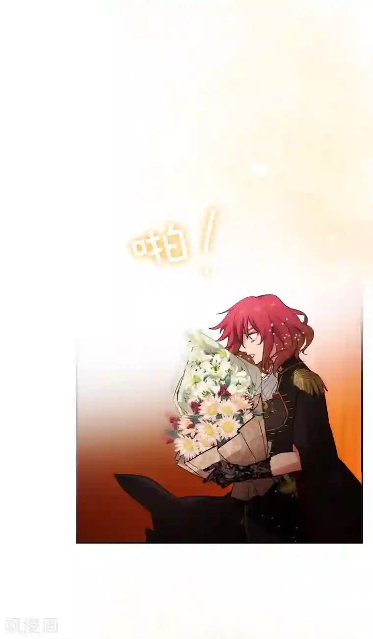 阿多尼斯第311话 你在同情我？