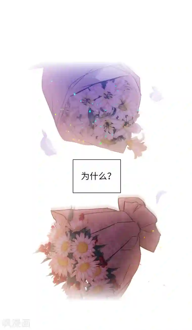 阿多尼斯第312话 为什么给现在的我鲜花掌声？