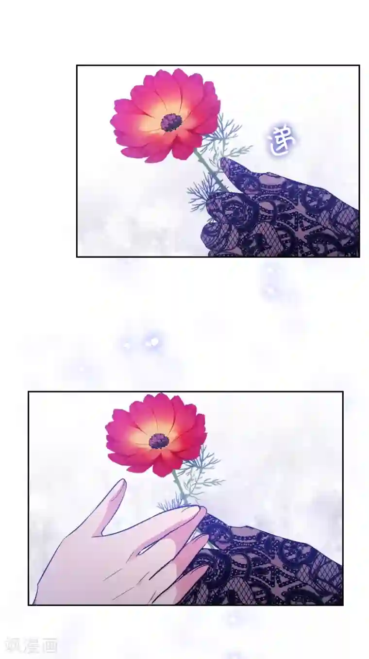 阿多尼斯第312话 为什么给现在的我鲜花掌声？