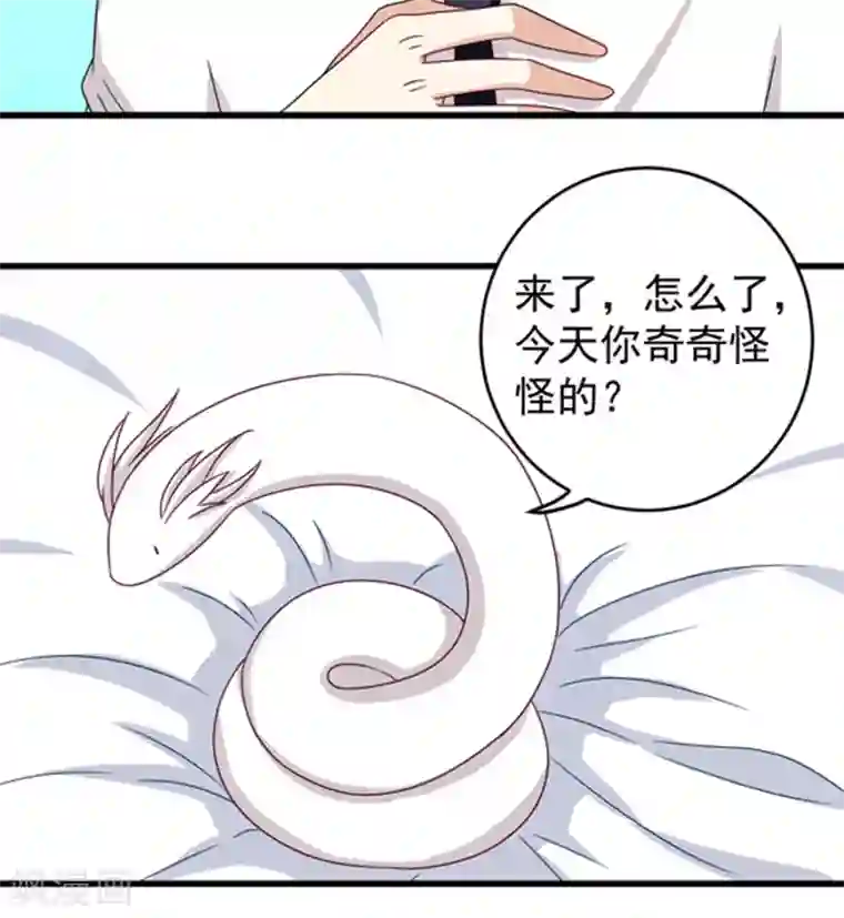 重生影后第28话