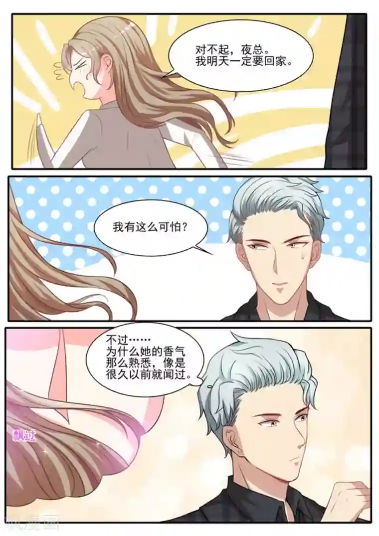 嗨，首领大人第33话