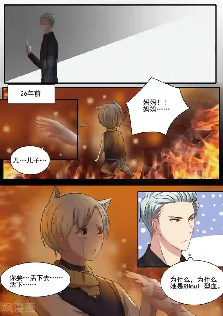 嗨，首领大人第35话