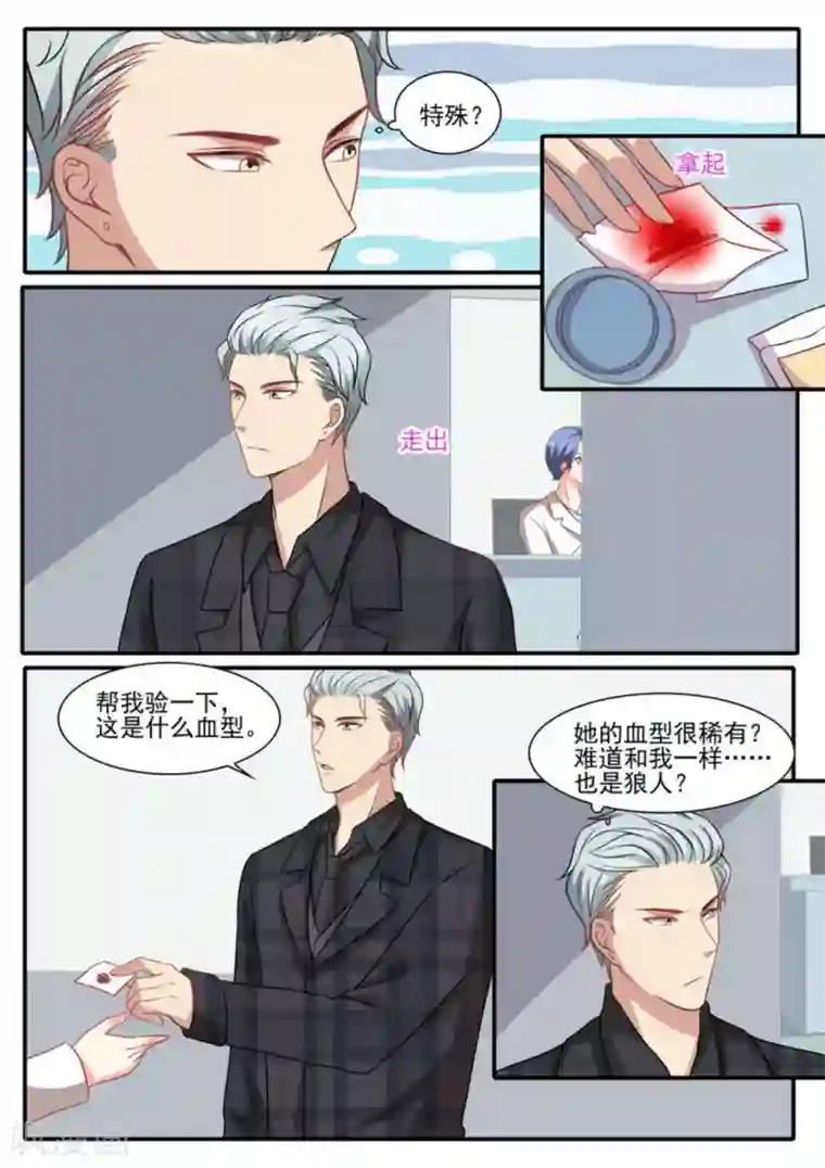 嗨，首领大人第35话