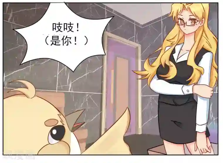 冤家小小鸟第5话