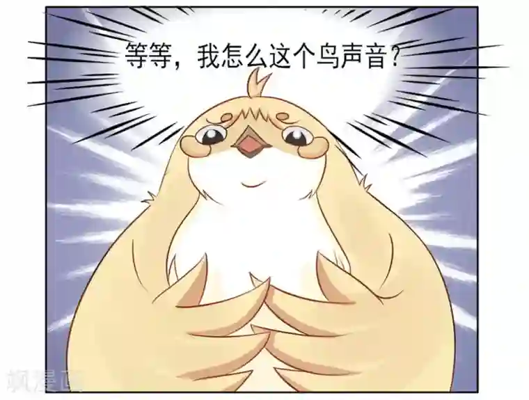 冤家小小鸟第5话