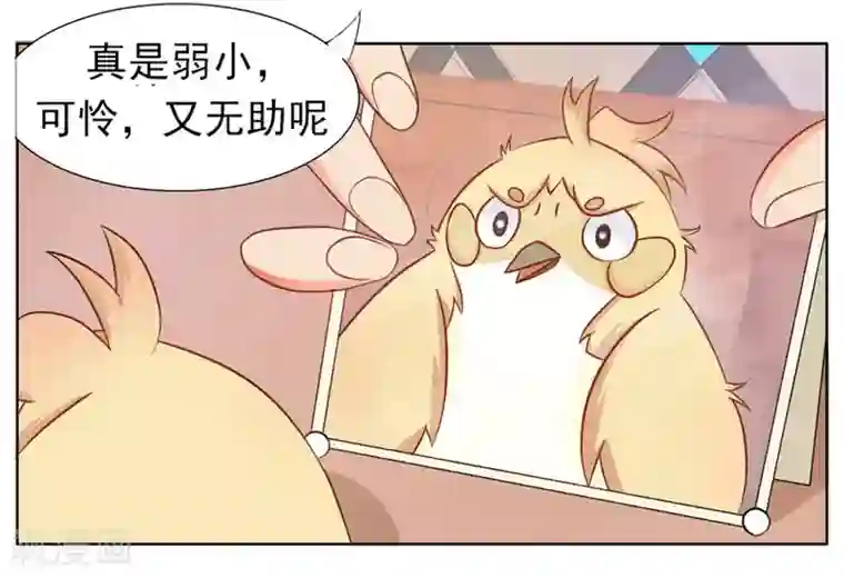 冤家小小鸟第5话