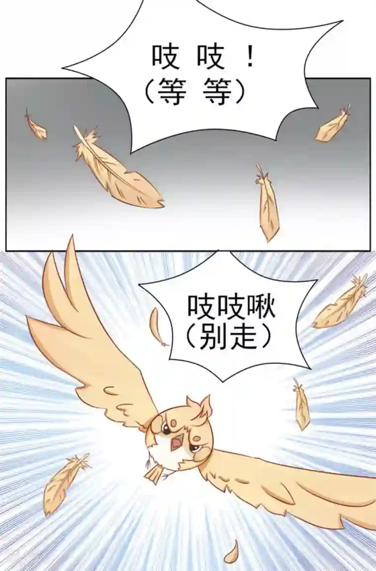 冤家小小鸟第5话