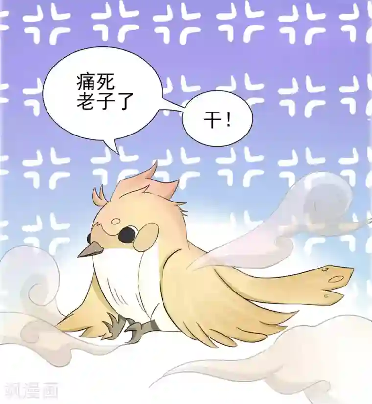 冤家小小鸟第5话