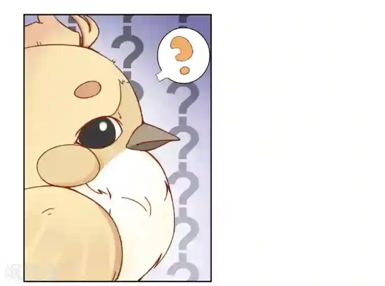 冤家小小鸟第5话