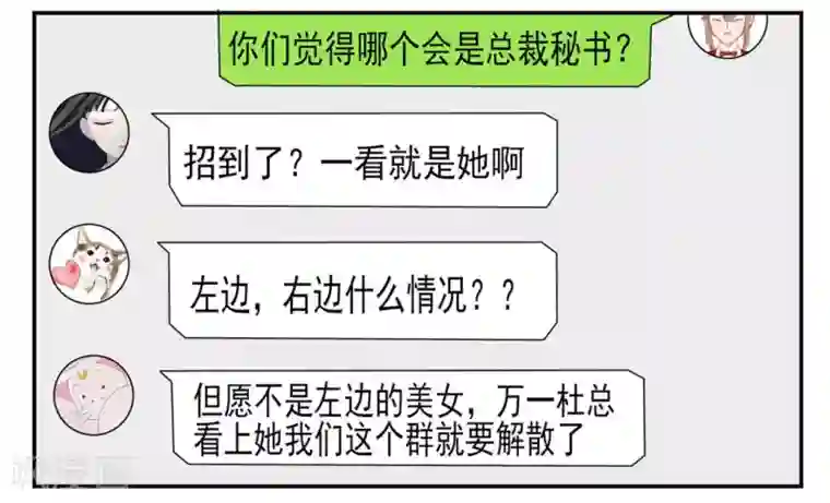 冤家小小鸟第11话