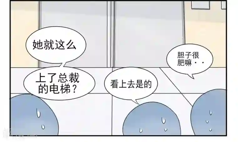 冤家小小鸟第12话