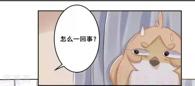 冤家小小鸟第23话