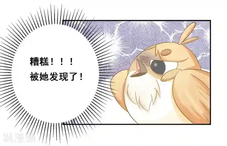 冤家小小鸟第24话