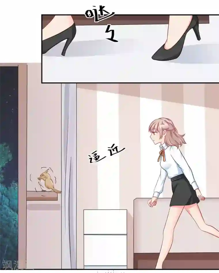 冤家小小鸟第24话