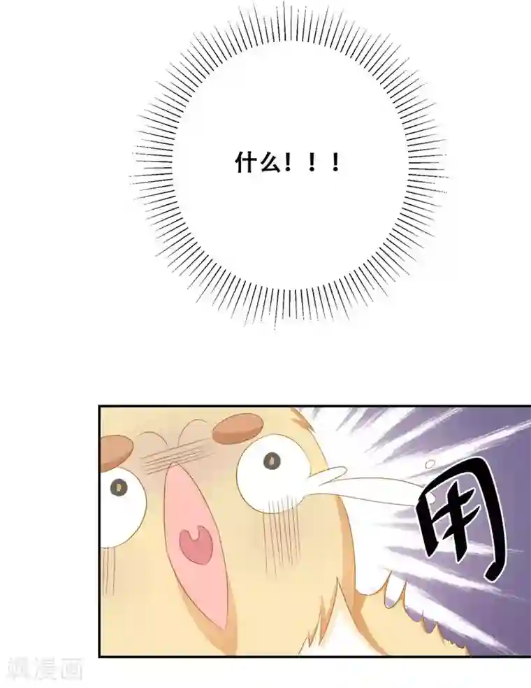 冤家小小鸟第24话