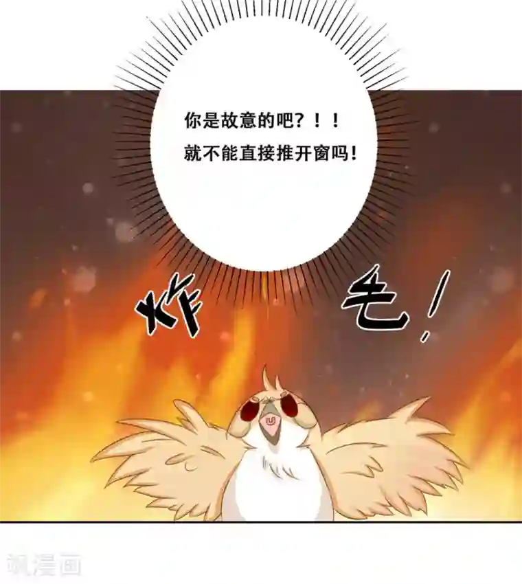 冤家小小鸟第24话