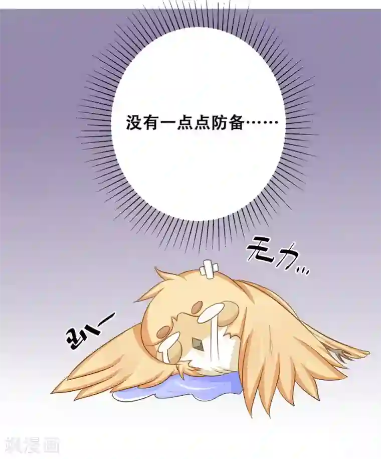 冤家小小鸟第24话