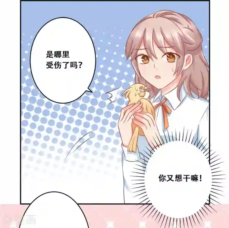 冤家小小鸟第24话